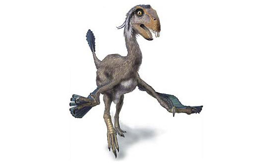 Du fin fond de la blogosphère, le lointain cri d’un dinosaure dinosaure Kuebek