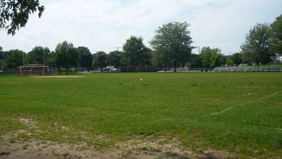 terrain de soccer au parc Laurier terrain de soccer au parc Laurier