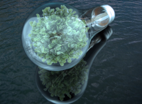 Révolution tranquille (prise II) Eco tree lightbulb