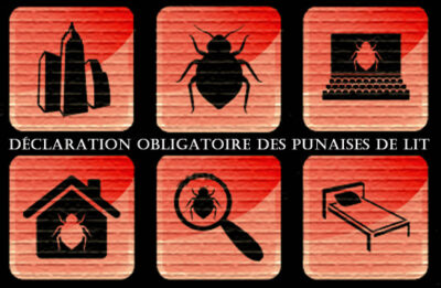 déclaration obligatoire sur les punaises de lit déclaration obligatoire sur les punaises de lit
