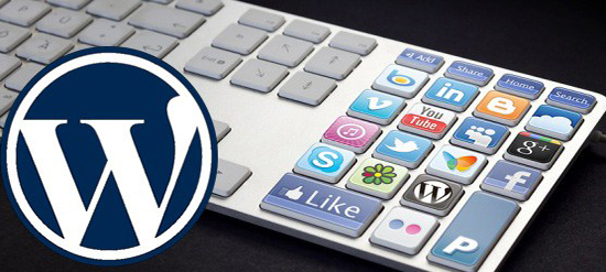 Mon palmarès des extensions sociales pour WordPress en 2013 plugins