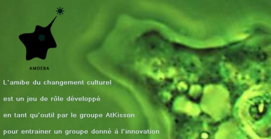 L'amibe du changement culturel est un jeu de rôle développé en tant qu'outil par le groupe AtKisson pour entrainer un groupe donné à l'innovation