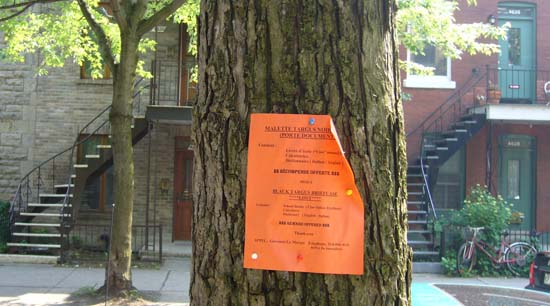 sale pub sur un arbre sale pub sur un arbre