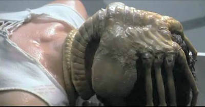 Alien facehugger Alien facehugger