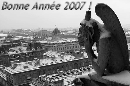 Bonne année 2007