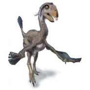 Du fin fond de la blogosphère, le lointain cri d’un dinosaure