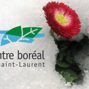 Cet été, je travaillerai « au frais » pour le Jardin des glaciers