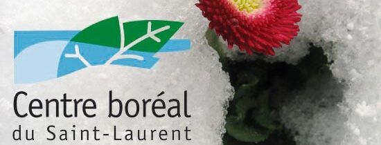 Cet été, je travaillerai « au frais » pour le Jardin des glaciers