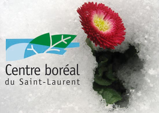  Jardin des glacier