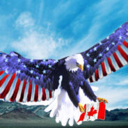 Dans l’œil de l’aigle