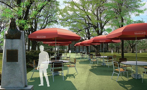 projet de verdissement au parc Laurier