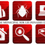 Motion pour la création d’un registre confidentiel sur les infestations de punaises des lits