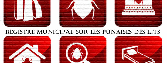 Motion pour la création d’un registre confidentiel sur les infestations de punaises des lits