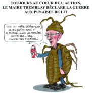 Mes commentaires sur le plan d’action régional de lutte contre les punaises de lit