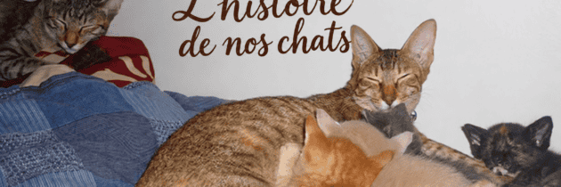 L’Histoire de nos chats