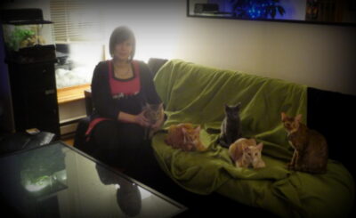 Un moment de bonheur suspendu dans le temps: les vacances de Noël avec nos chats