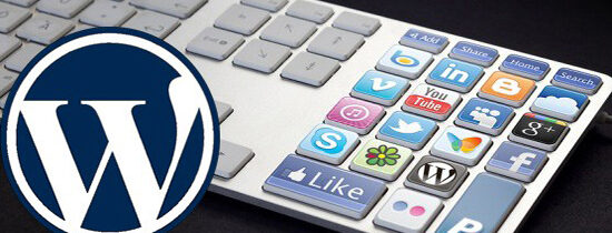 Mon palmarès des extensions sociales pour WordPress en 2013