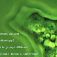 Le jeu de rôle de l’amibe du changement culturel