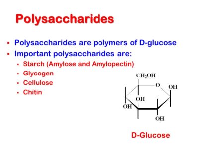 Polysaccharides