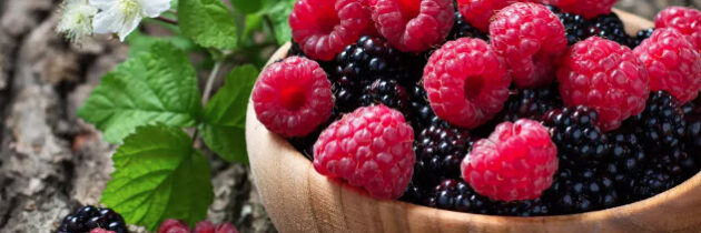 Les mûres de ronce, les mûres du mûrier et les framboises sauvages : Un petit guide pour les différencier