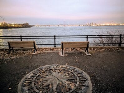 Une exploration des cycles de la vie et des liens au cœur du Parc Jean-Drapeau