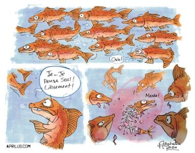 QS est un banc de poisson