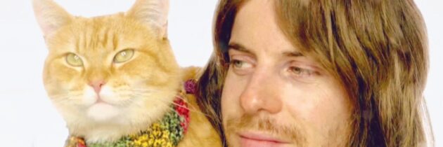 A Street Cat Named Bob : Une histoire vraie de dépendance, d’espoir et de lien félin