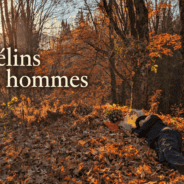 Protégé : Des Félins et des hommes