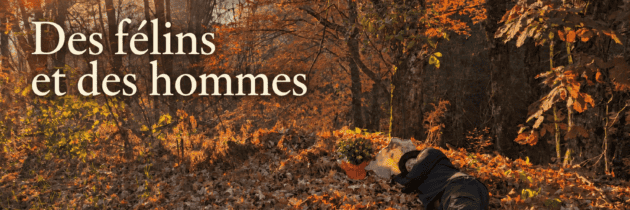 Protégé : Des Félins et des hommes