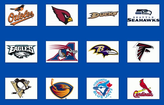 les logos des équipes soprtives avec des noms d'oiseaux