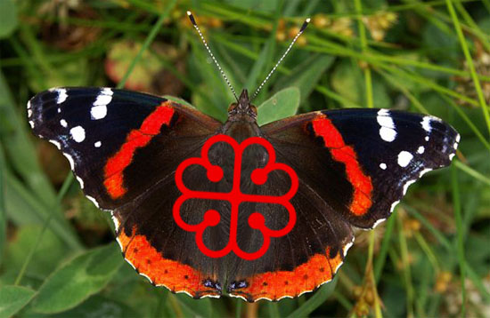 Le papillon Vulcain et le logo de Montréal